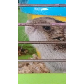 Смусяка №4