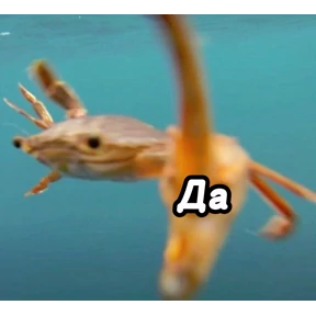 Люлик 2 №68