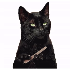 Котики №1