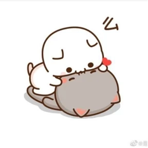 Котики №5