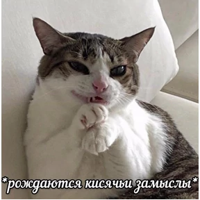Пиу пиу №18