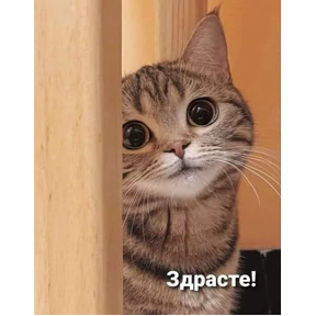 Пиу пиу №57