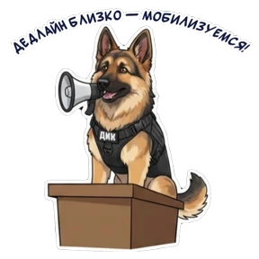 Дик №27