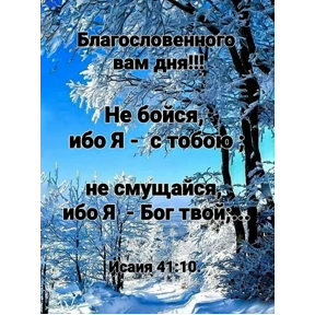 Мои №7