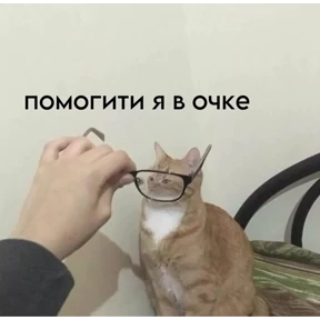 котики №25