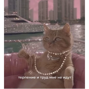 Котики №3