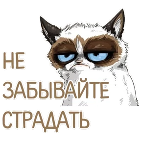 Нужо №11