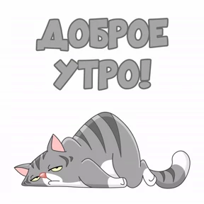 Нужо №21