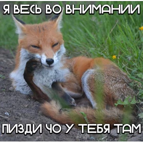гламурная жизнь №12