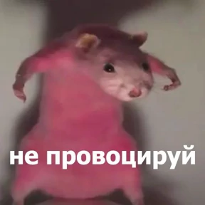 гламурная жизнь №40