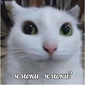 степлер №4