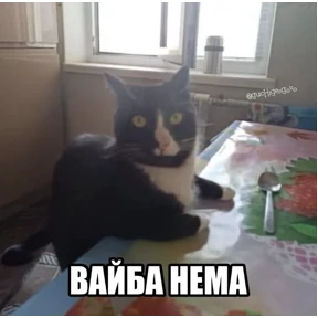 степлер №7