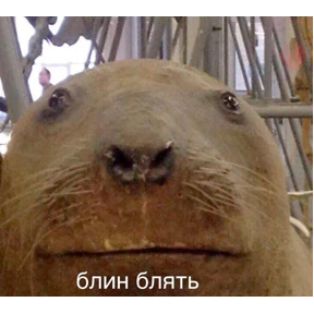 степлер №22