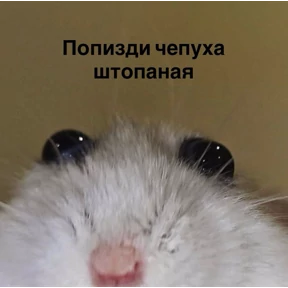 Стикерпак №85