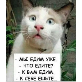 Котюни №22