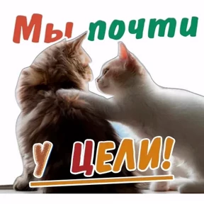 Лот №64