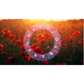 Утро №7