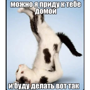 Мими №9
