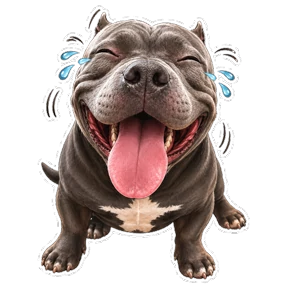 Балу №6