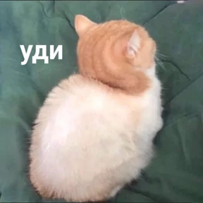 Заводовские №11