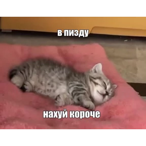 Заводовские №14