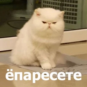 Заводовские №32