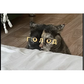 1 набор №1