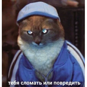1 набор №11