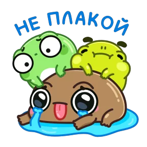 Жабки №14