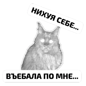 Крысиные №6