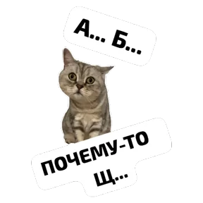 Крысиные №10