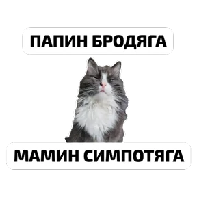 Крысиные №47