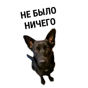Крысиные №58