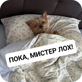 Крысиные №62