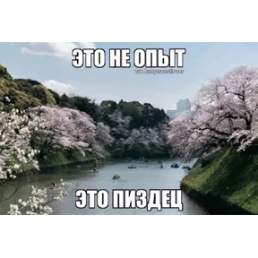 Стикеры №11
