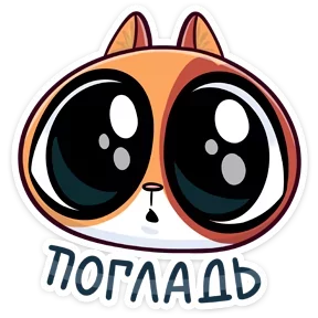 Бася №17