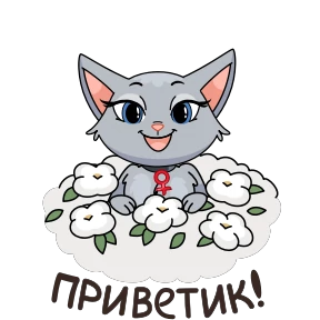 Анфиса @PNG_MiN №9