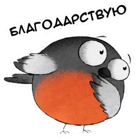 Снегирь №11
