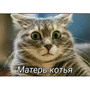 Так и живём №7