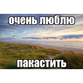 набор сашки прониной №38