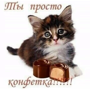 набор сашки прониной №52