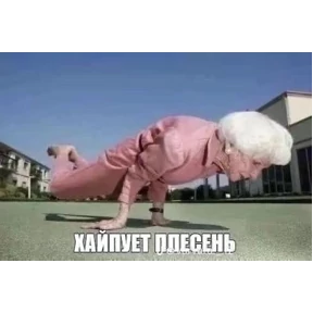 набор сашки прониной №60
