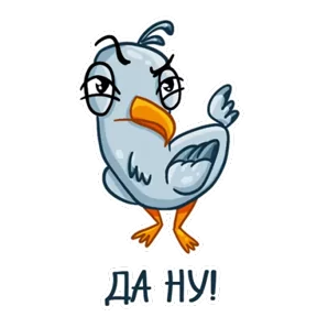 Чайка №27