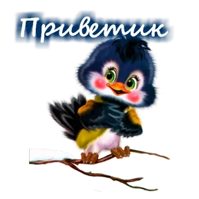 Привет! №10