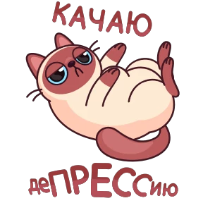 Котик №18