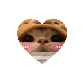 Котики в сердечках №12