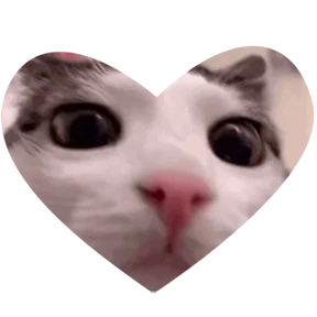 Котики в сердечках №11
