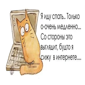 Спокойной ночи №24