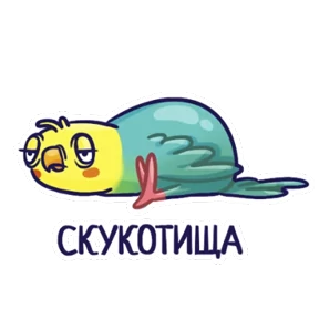 Попугайчики №6