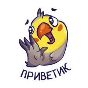 Попугайчики №7